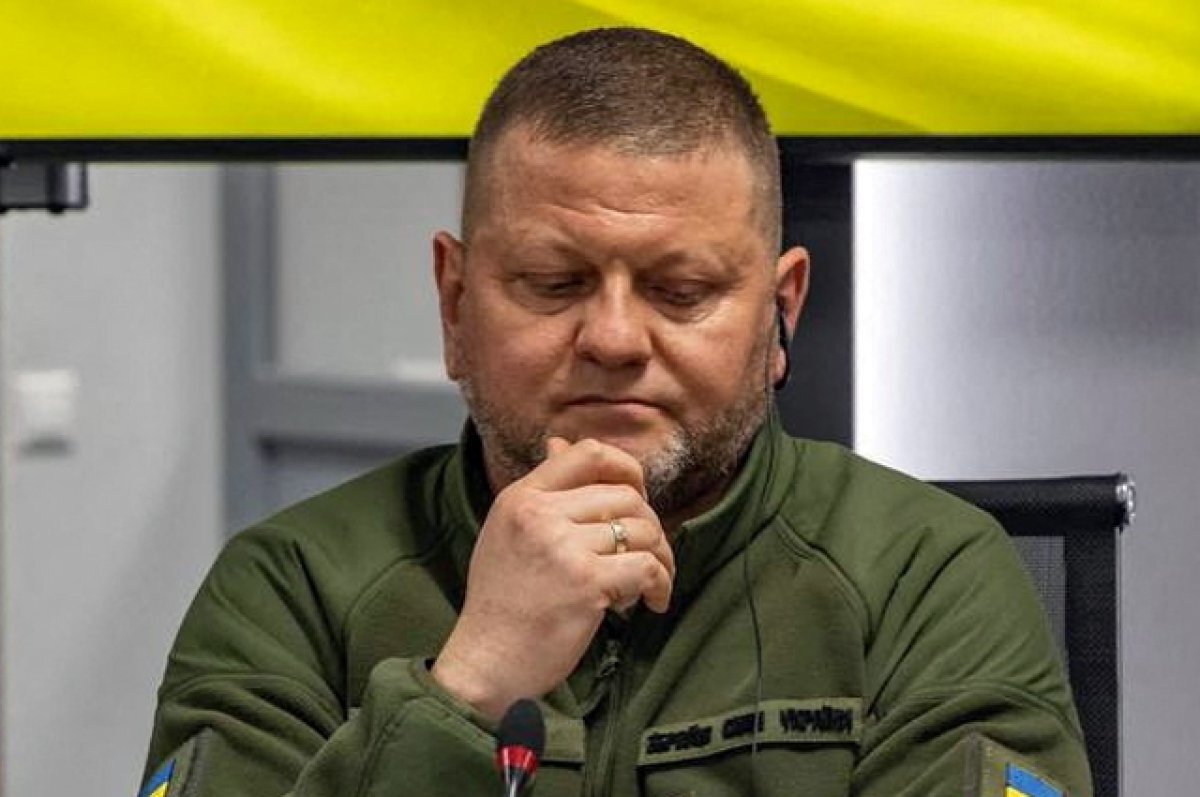    Валерий Залужный.