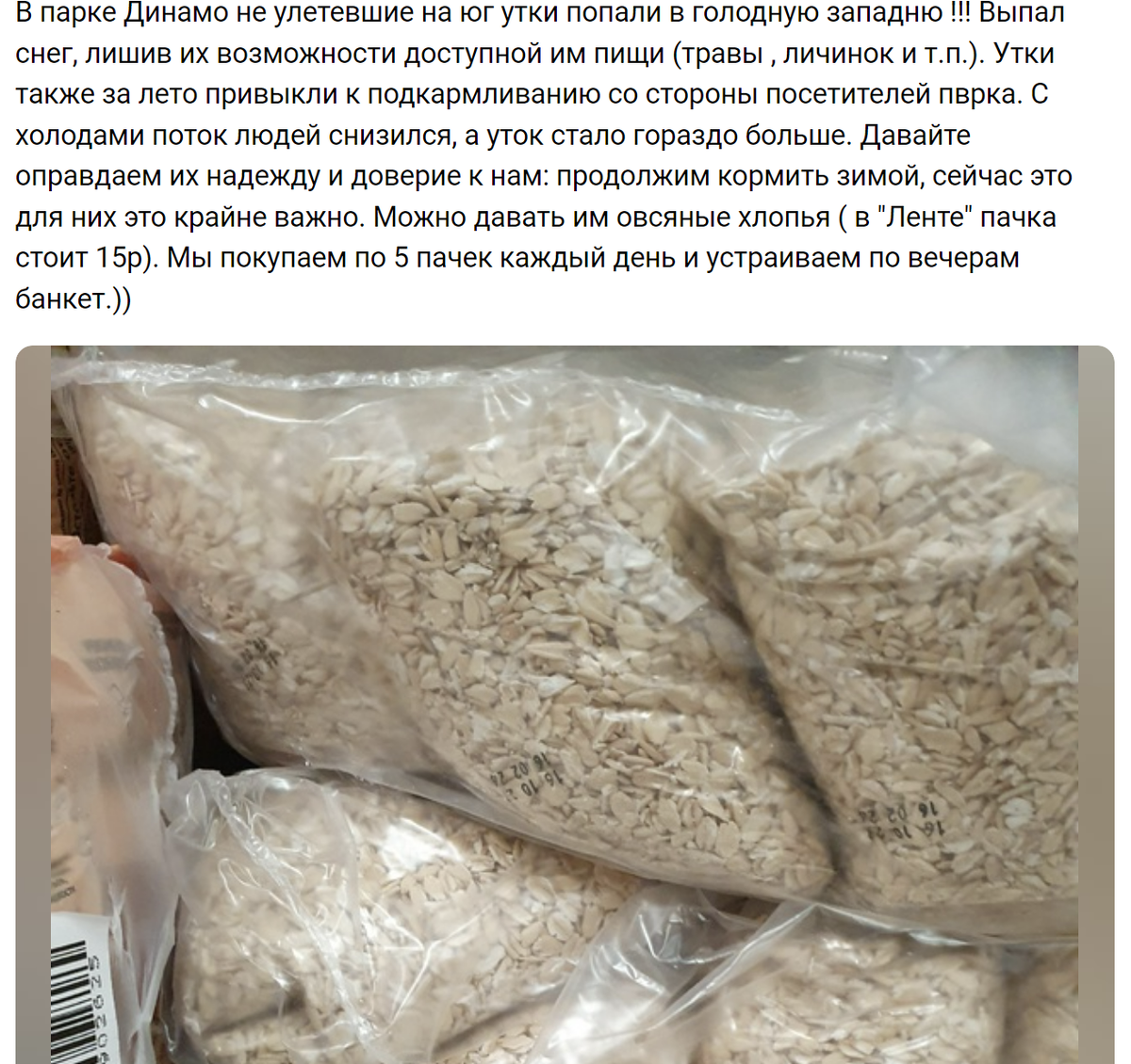 Ло ло утка. Гусиная охота обои. Мне нужно было попасть на утиное озеро к рассвету сочинение. Мне нужно было попасть на утиное. Утка за рулем.