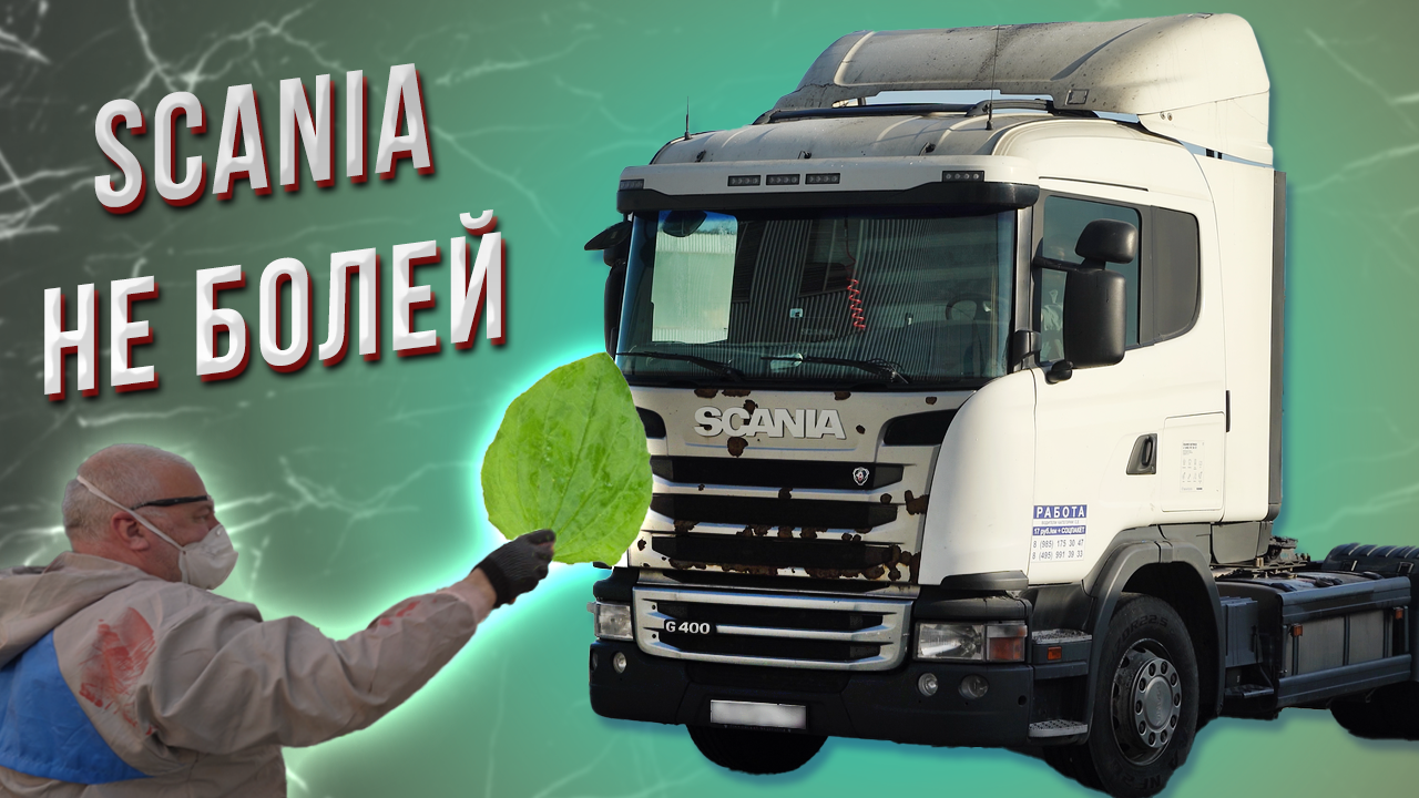 Scania восстановление двери и замена капота.