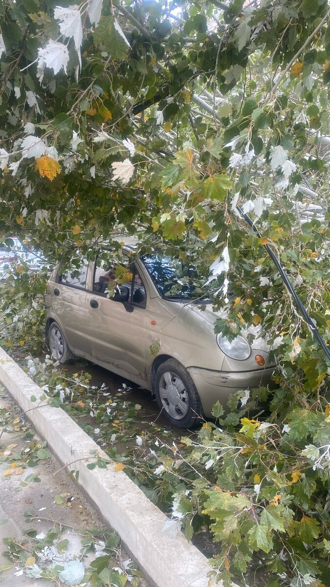 Нашли девушку в сочи во время шторма