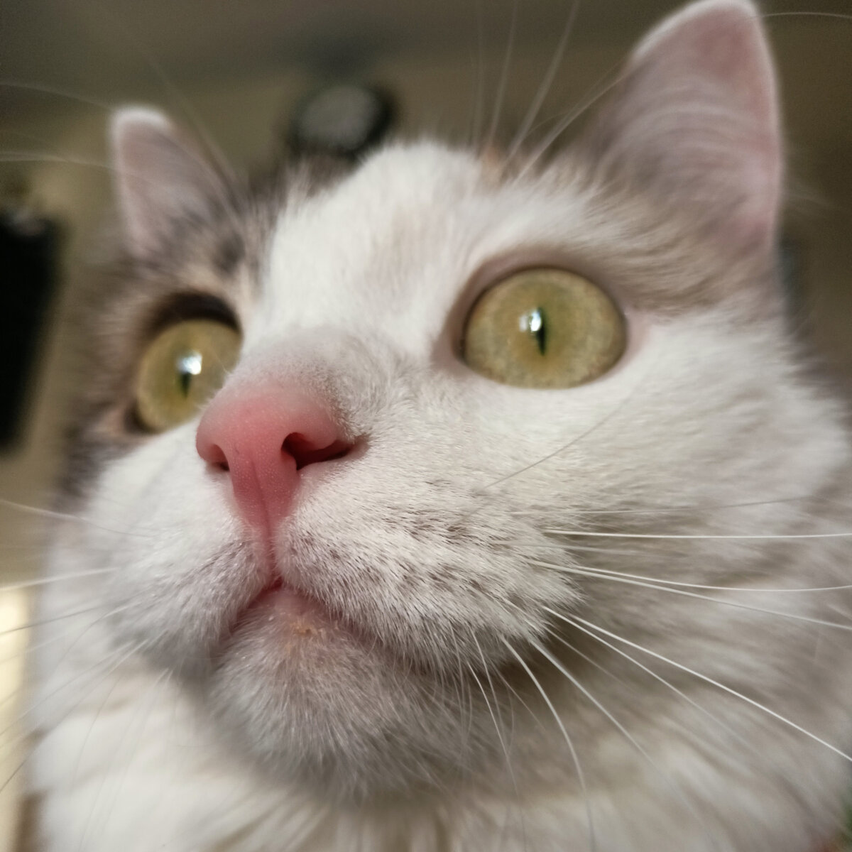 Тесла + Мерседес 😂