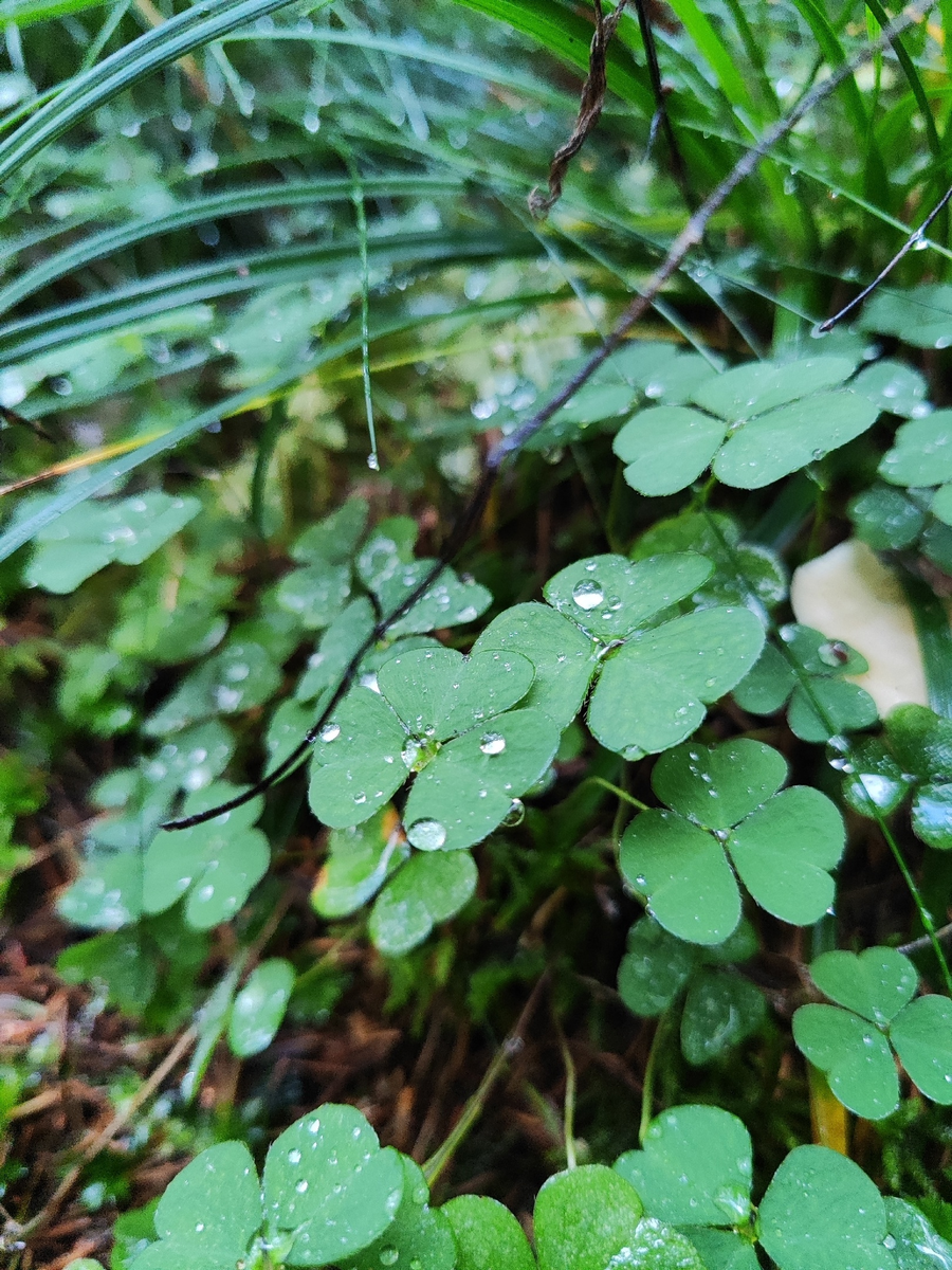 Фото: Надежда Дроздова 