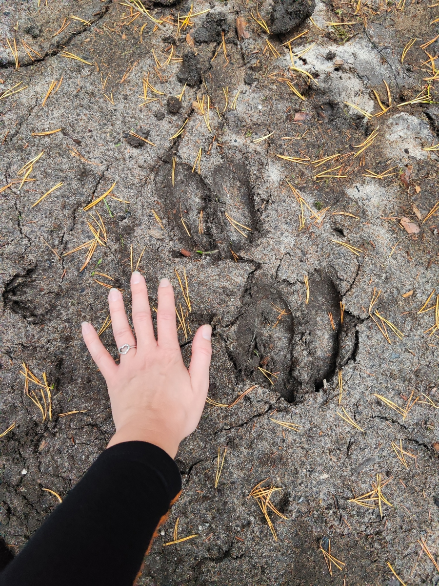 Фото: Надежда Дроздова