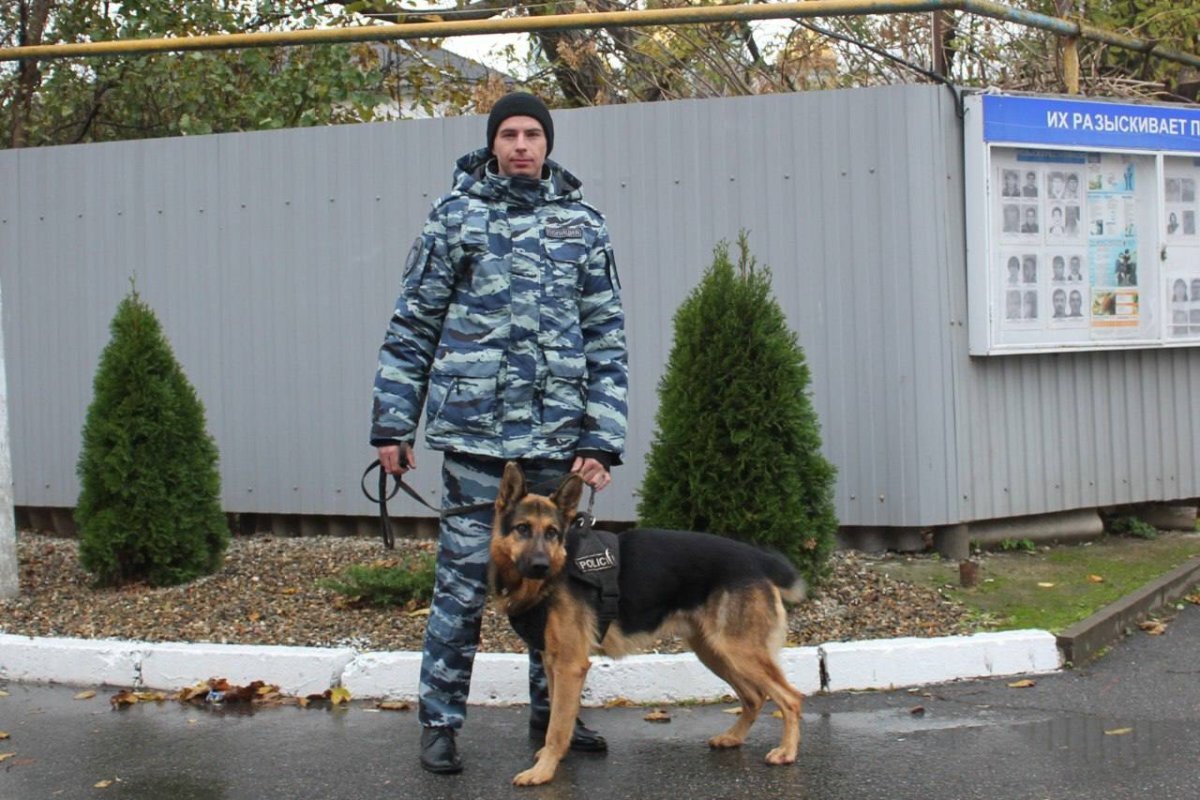    На Кубани служебная собака нашла двух потерявшихся в лесу женщин