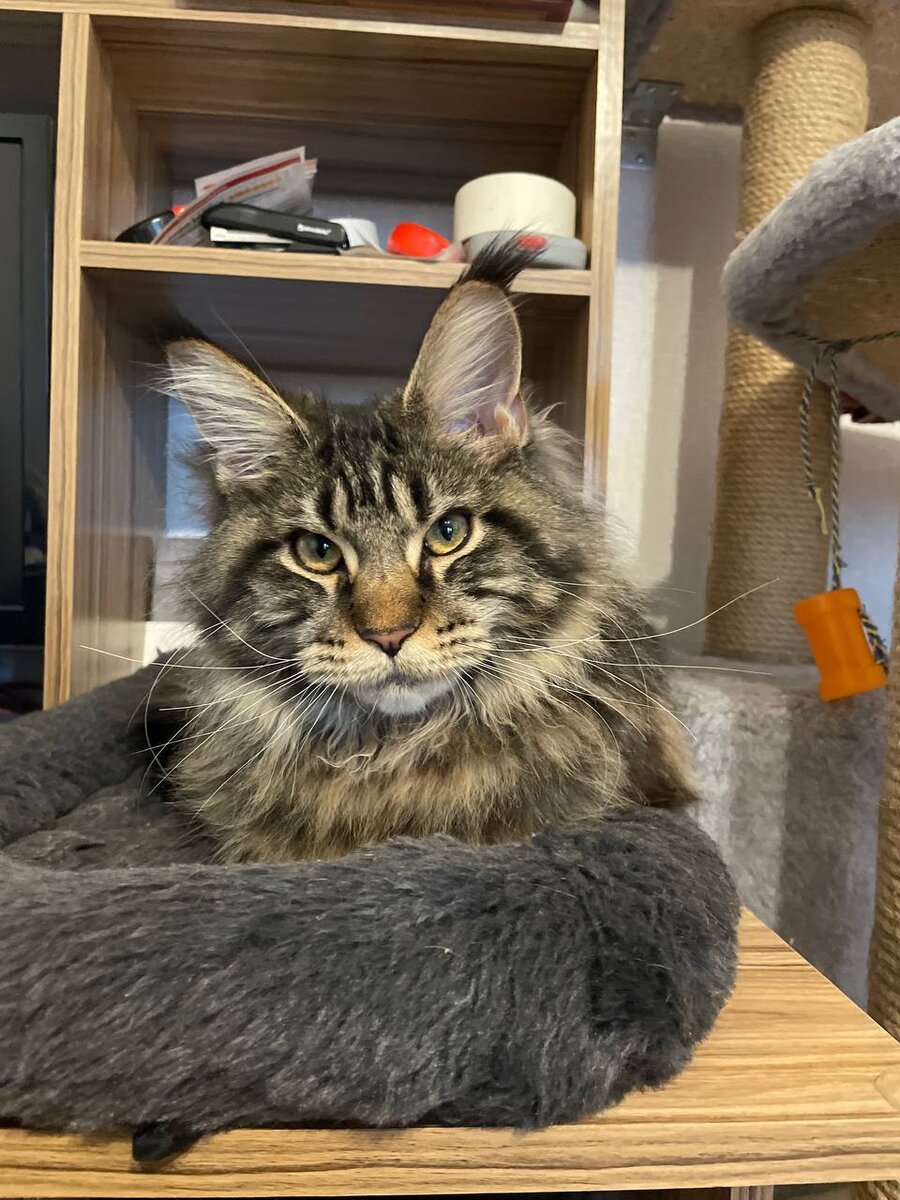 Фото из личного архива. Мой выпускник Дамаск 