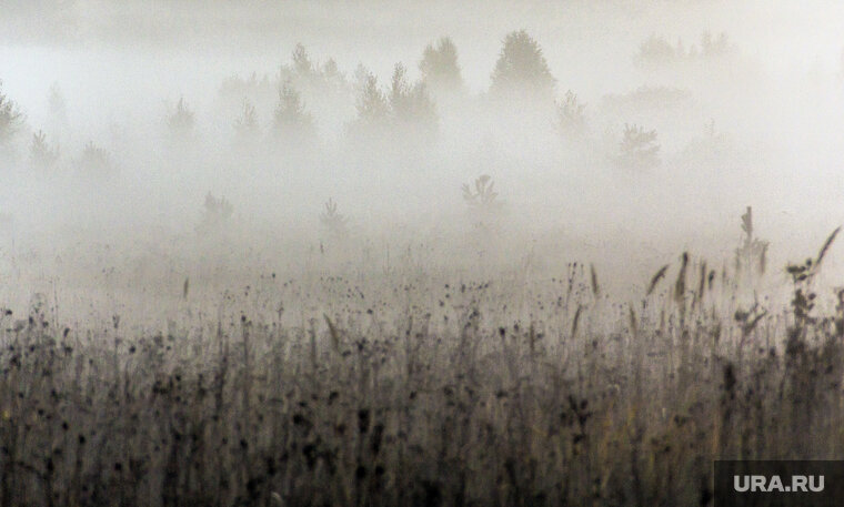    Девочка потеряла ориентацию в тумане и едва не замерзла до смерти
