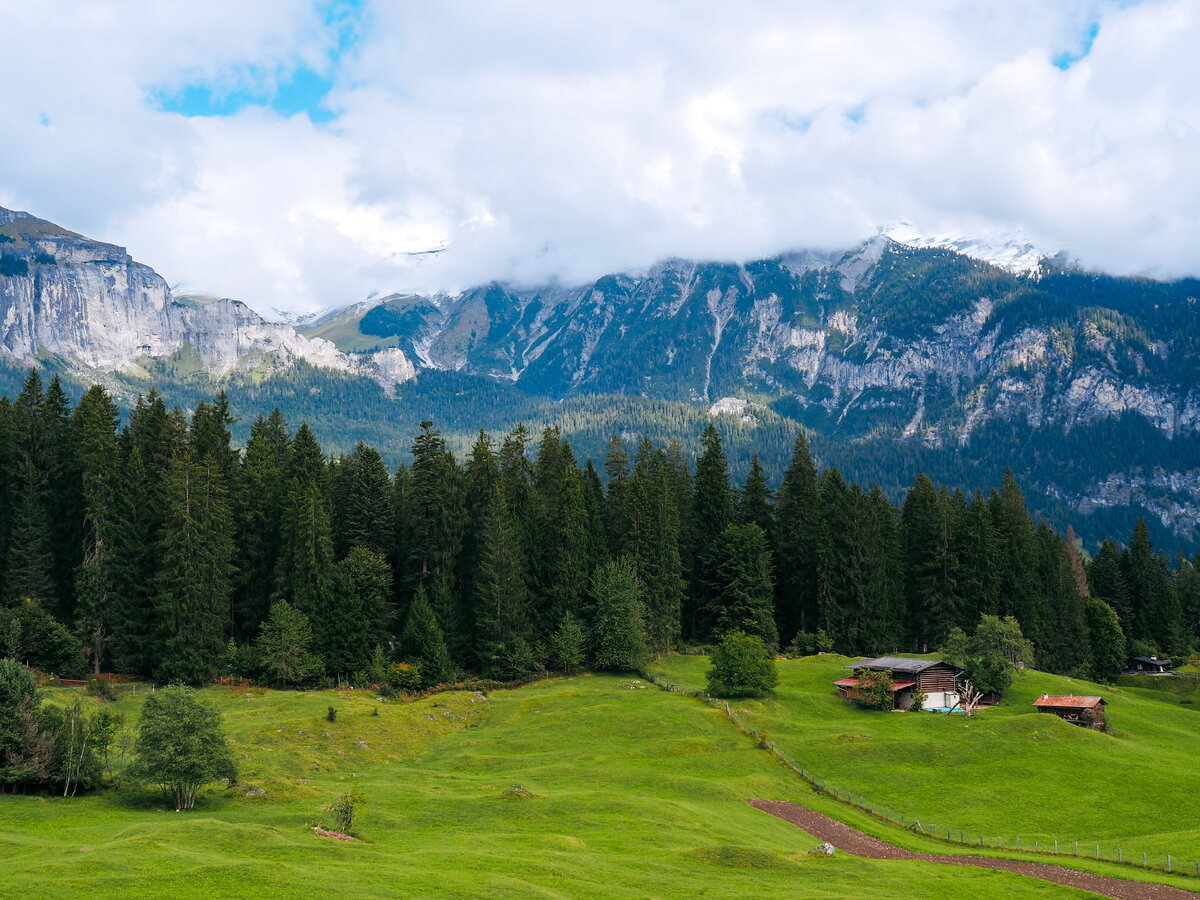 Картинка с бесплатного фотостока https://unsplash.com, автор Himmel S