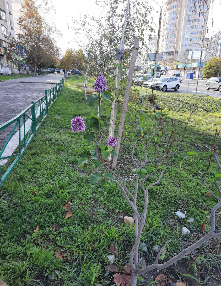 Источник: https://t.me/chpnvrsk_official/41664