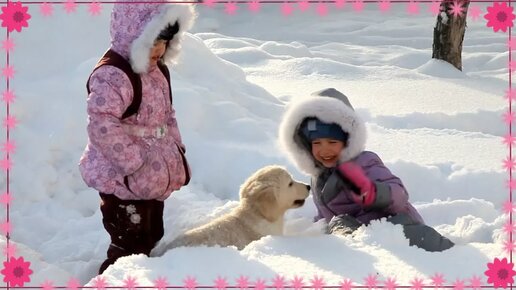 ПЕРВАЯ ПРОГУЛКА со щенком Puppy Гуляем с Собакой Мечта СБЫЛАСЬ! СОБАКА