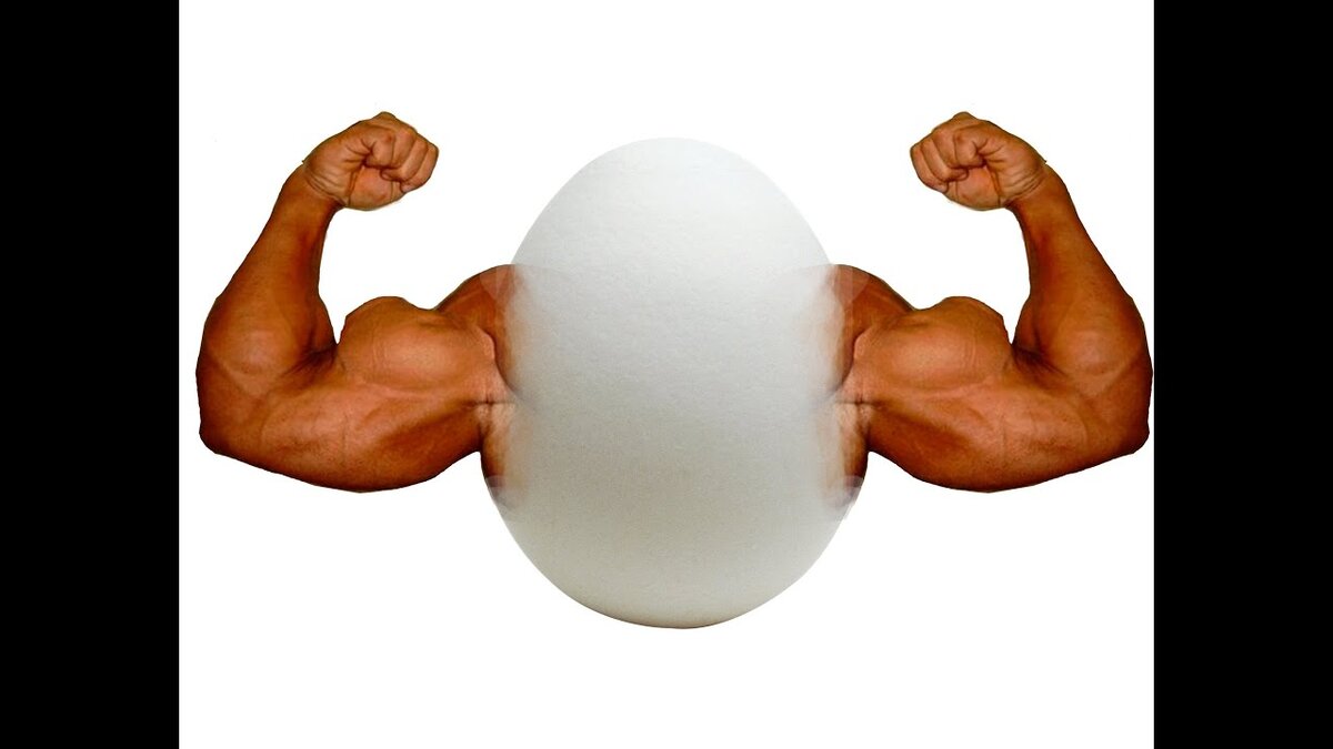 Яйца и бодибилдинг