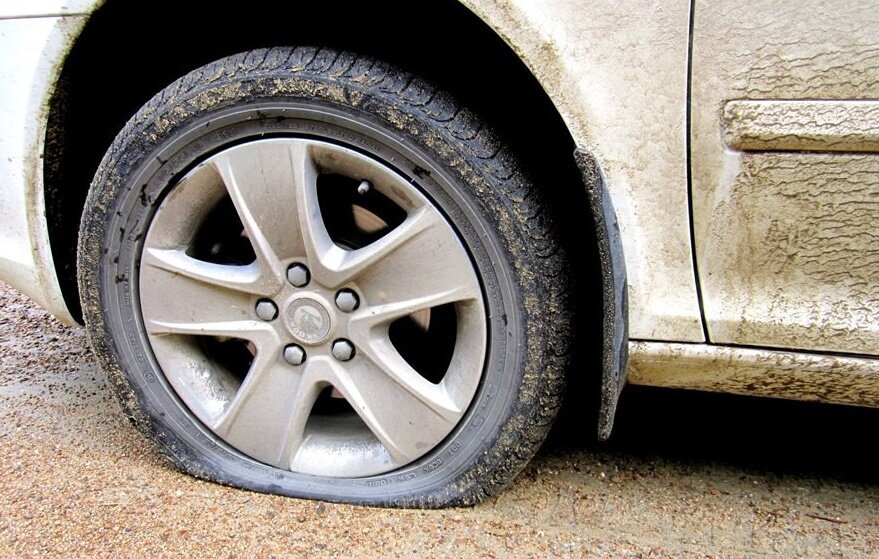 Фото: https://dzen.ru/ 