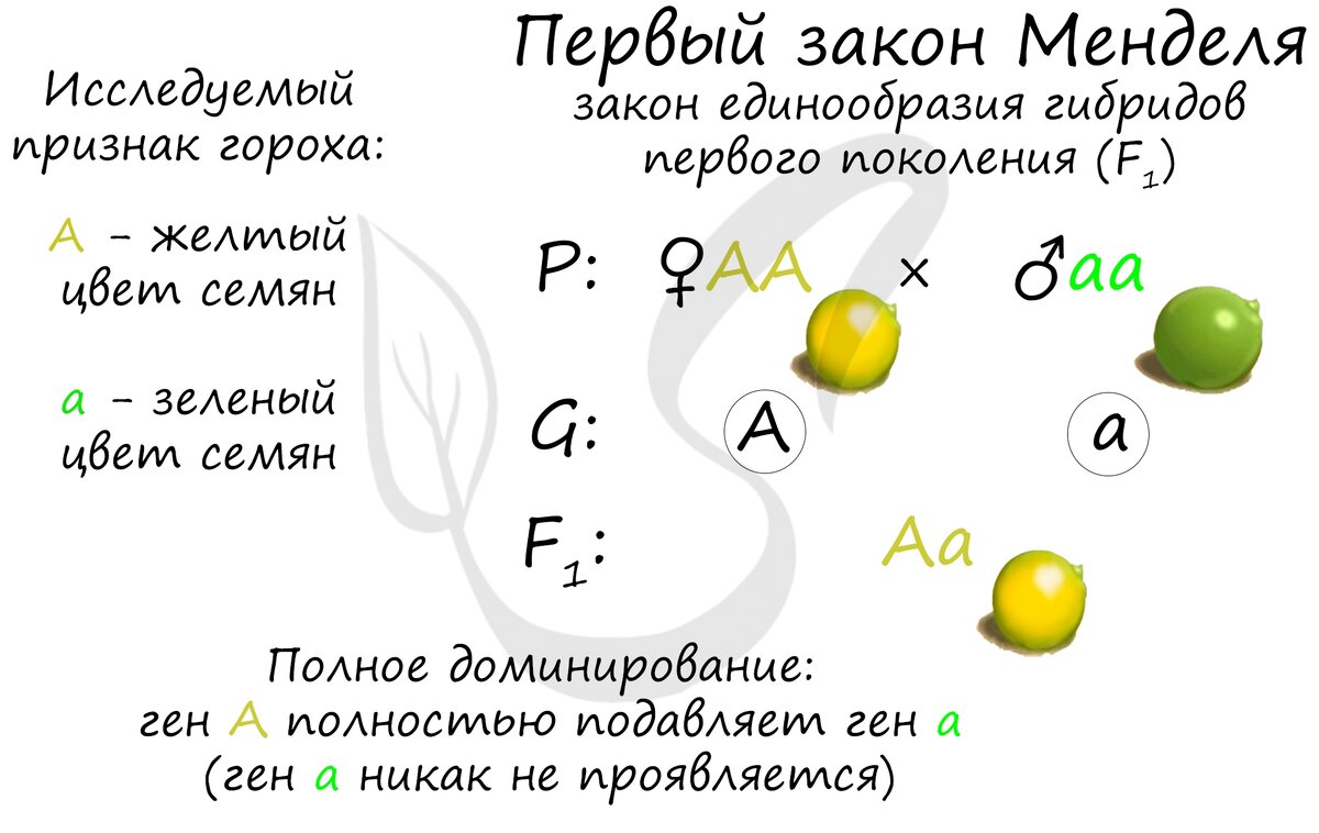 Газета 