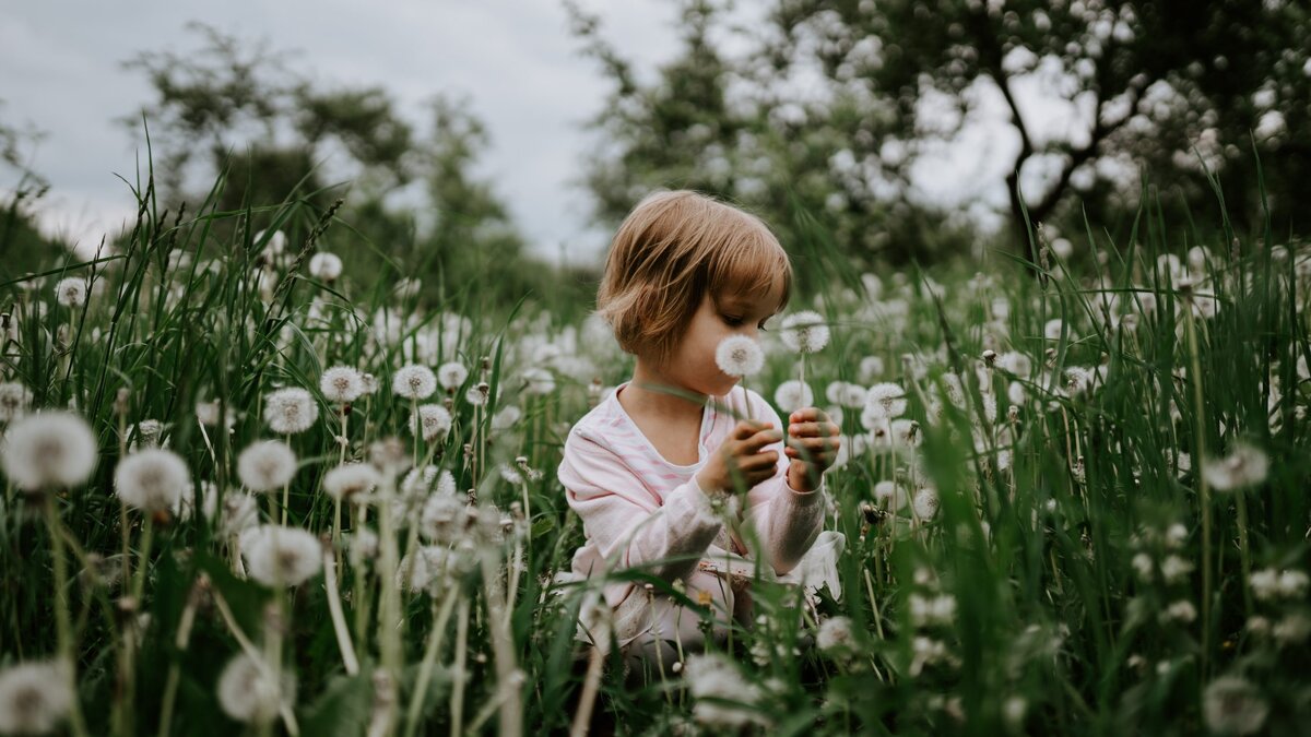 Фото: Arseny Togulev / Unsplash
