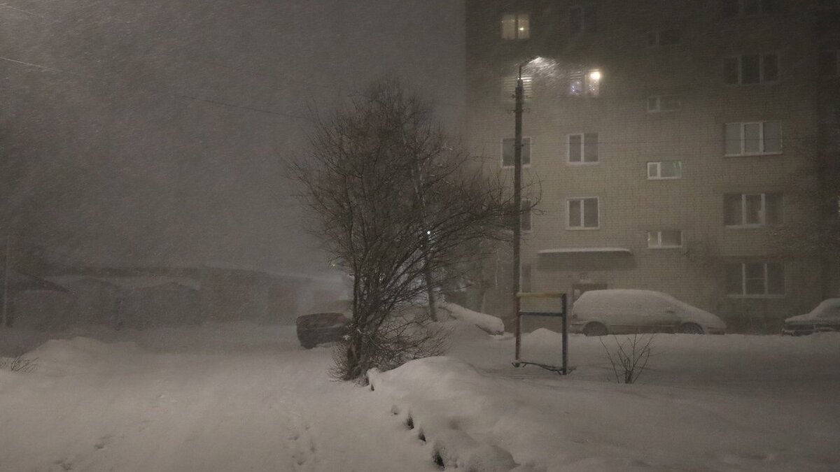    В Курской области 29 ноября прогнозируют ряд опасных метеоявлений