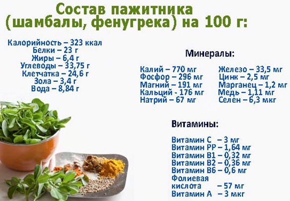 Пажитник при менопаузе. Лекарственная трава пажитник. Хельба семена применение. Пажитник лекарственное растение. Зеленый пажитник.