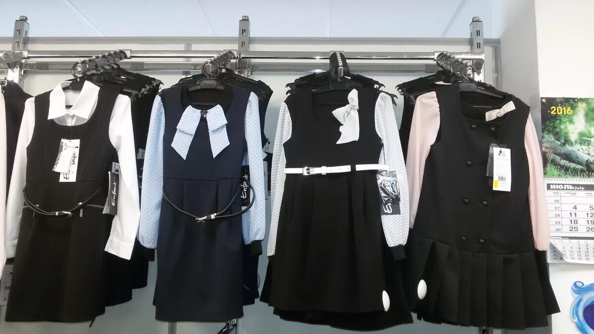     Проблема, с которой школьники из 60-и субъектов федерации обратились в Лигу безопасного интернета к Екатерине Мизулиной, на первый взгляд, личная: девочкам запрещают в мороз ходить в школу в брюках. С другой стороны, это подняло вопрос о женском здоровье и о здоровье детей вообще.