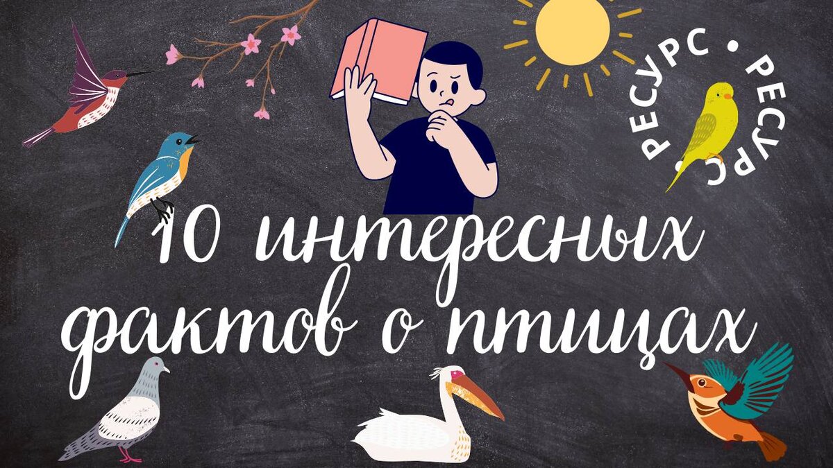 10 интересных фактов из биологии о птицах. | Онлайн-школа РЕСУРС | Дзен