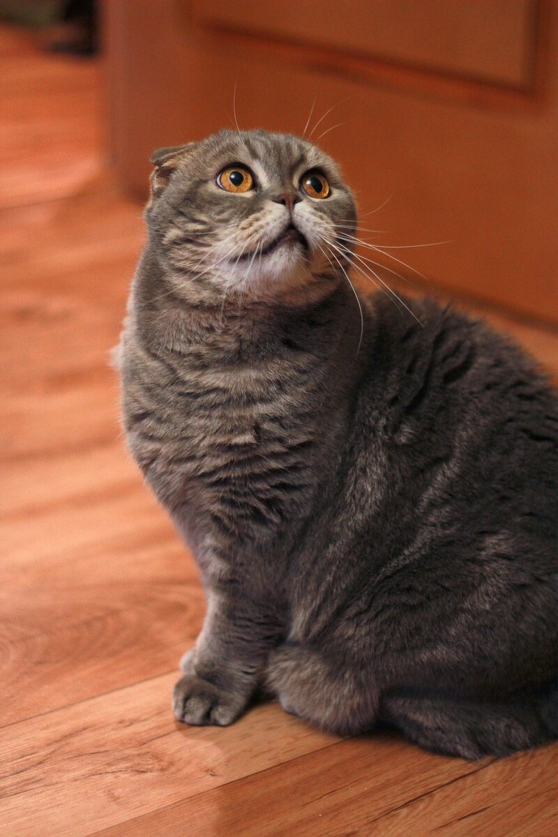 Рубик