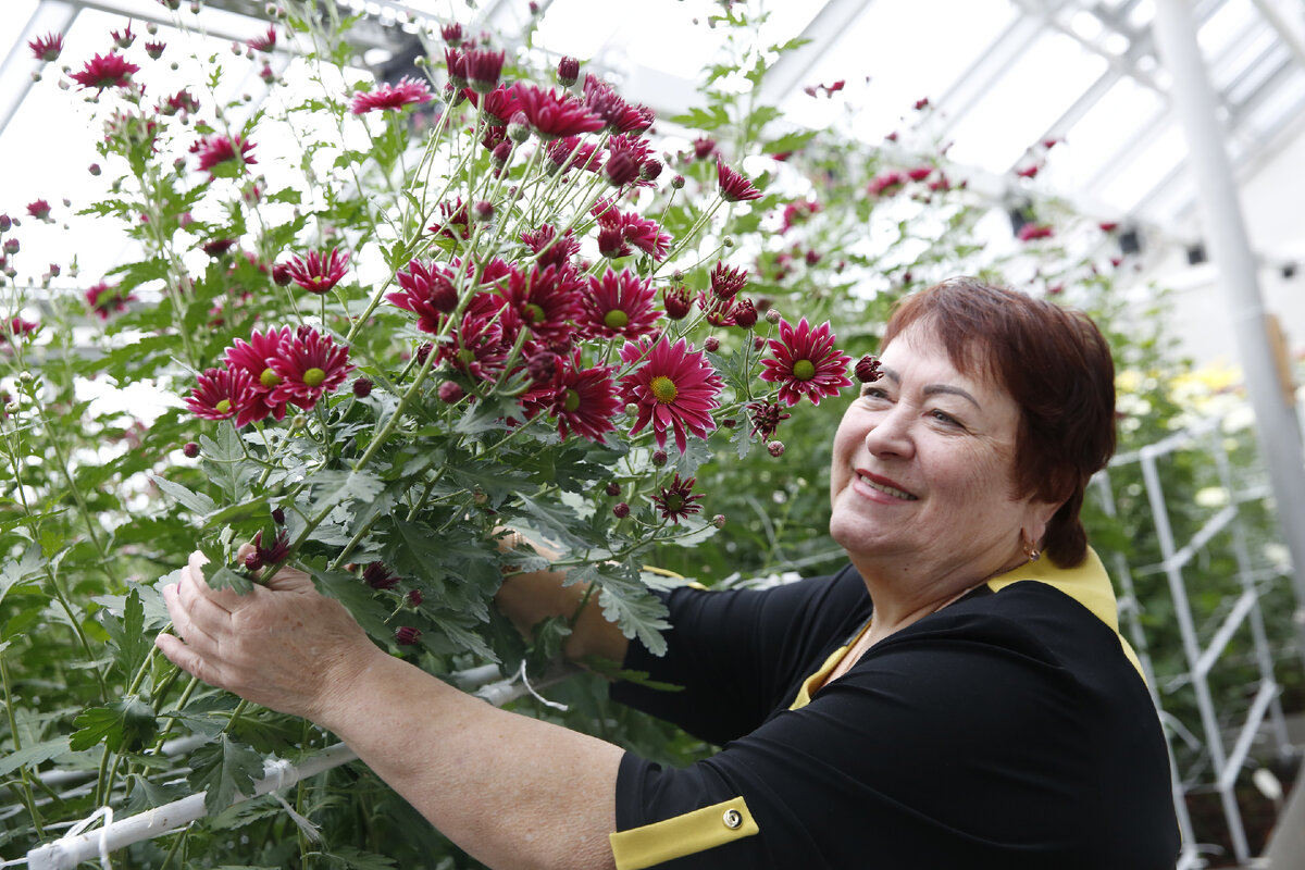 Фото: ГМЗ «Царское Село»