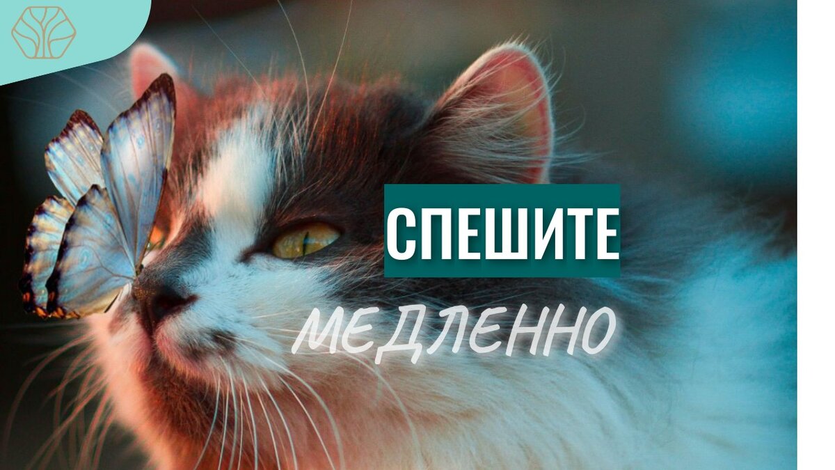 Спешка и стремление сделать сразу несколько дел приводит к напряжению. 