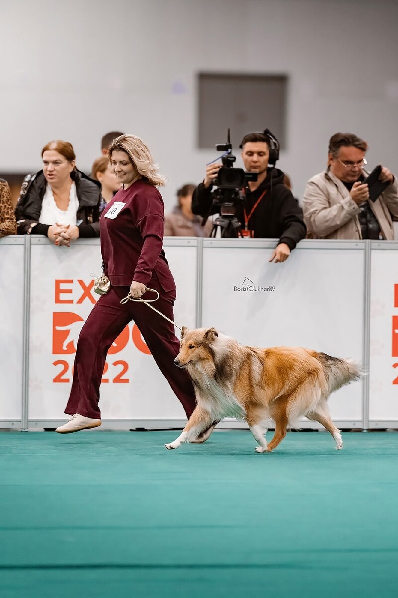 Шаг 5: Фитнес и здоровье