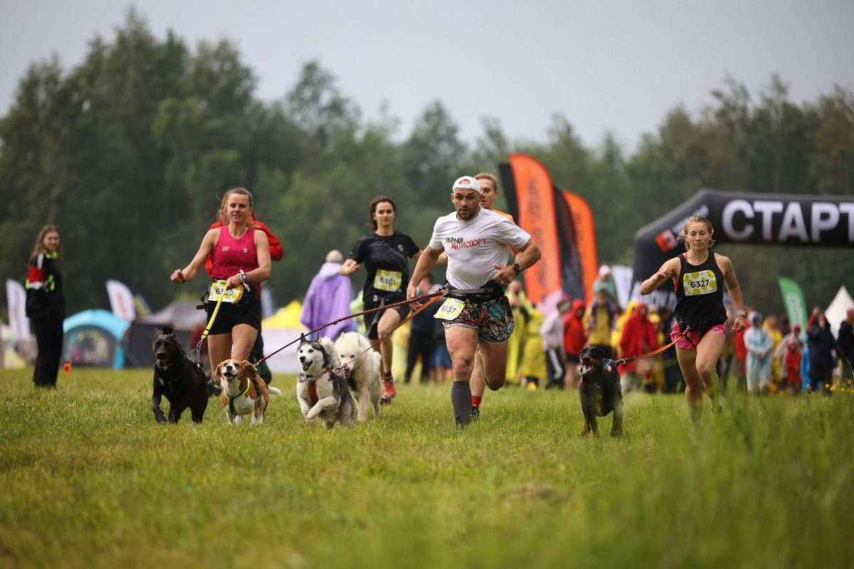 Sports fest. Фестиваль спорта. Спортмарафонфест. Спортмарафон фест. Sport marafon Fest.