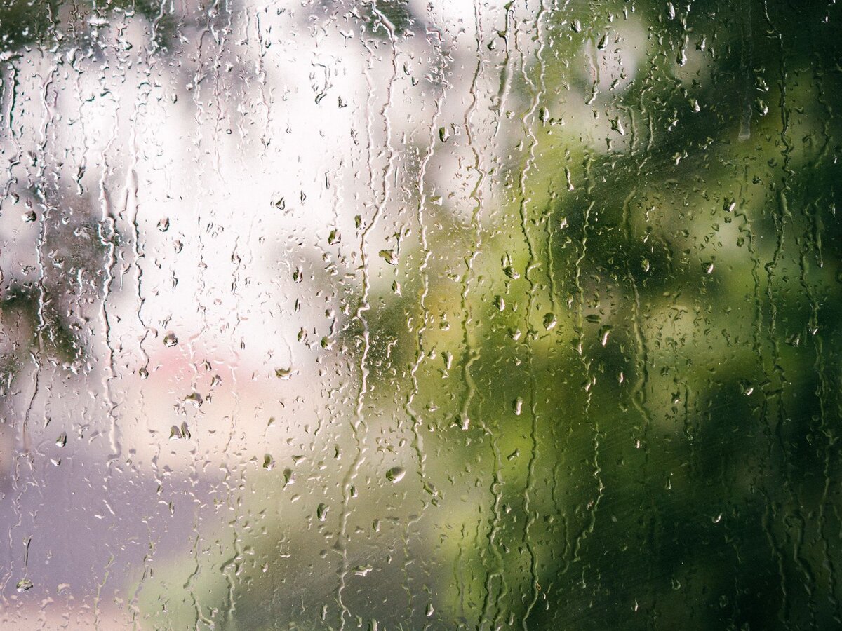 Фото из Яндекса