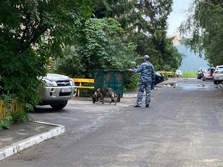 ФОТО: ПРЕСС-СЛУЖБА УМВД РОССИИ ПО ОРЛОВСКОЙ ОБЛАСТИ/АРХИВ 