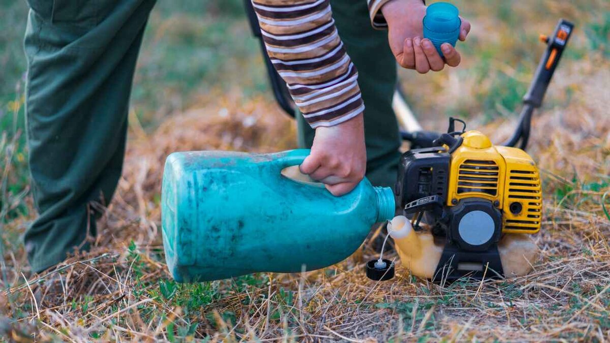 Фото: Miljan Zivkovic/Shutterstock.com