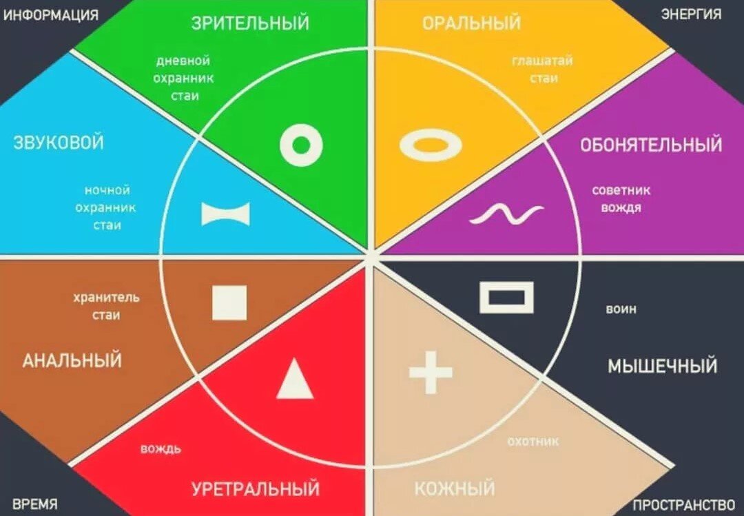 Системно-Векторная психология