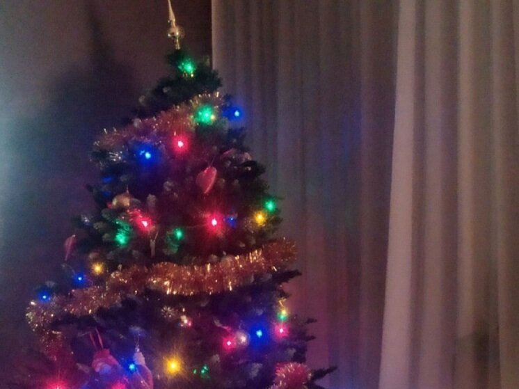     Фото: архив "МК в Калуге"