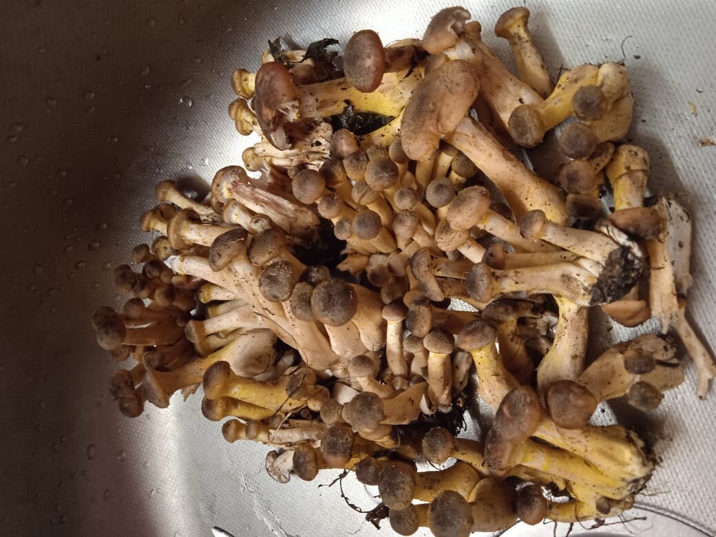 Фото Галины Овчаровой