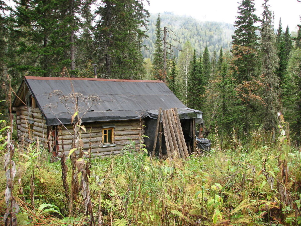 Фото из открытого доступа интернета