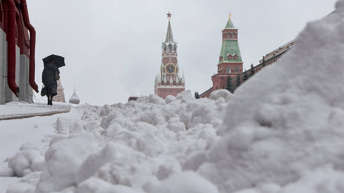    Фото: Ярослав Чингаев / АГН Москва