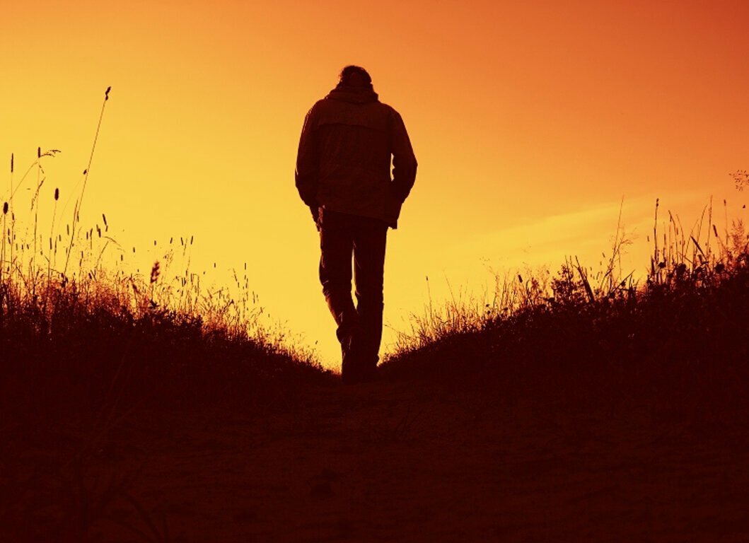 Картинка взята, в свободном доступе в сети