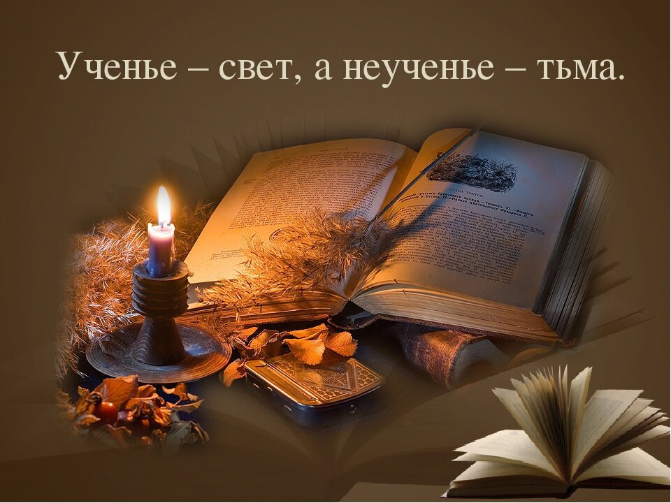 Картинка из интернета. 