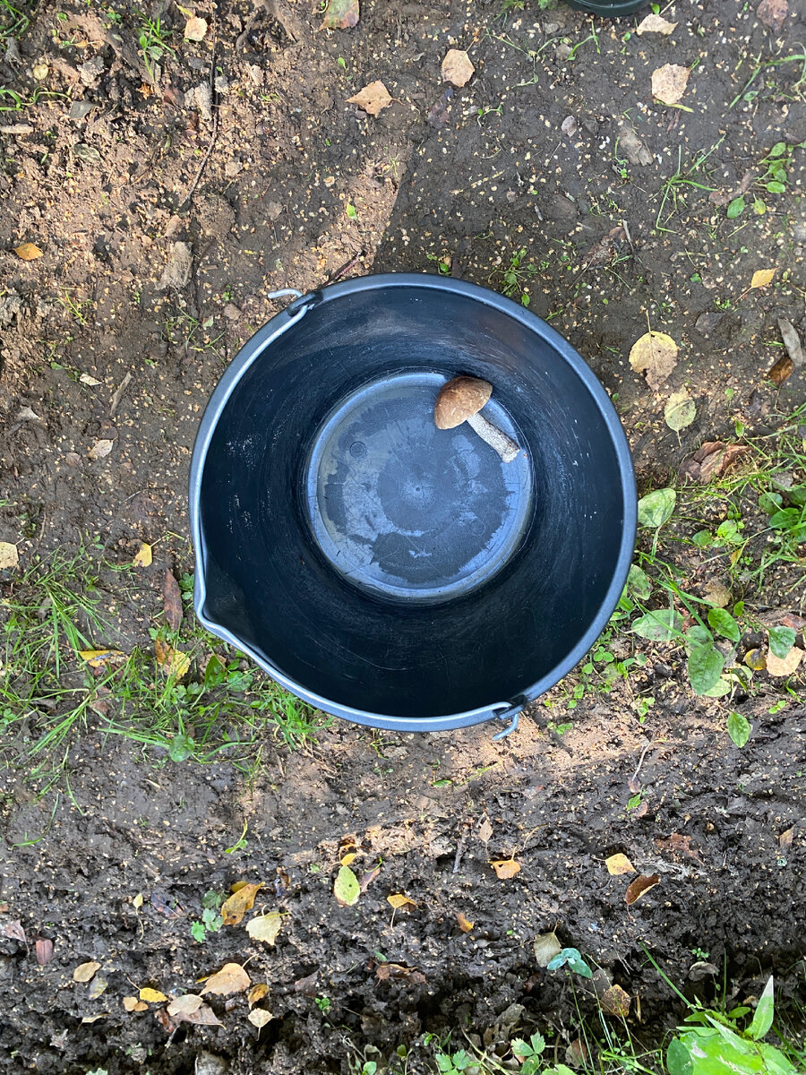 Да только зашёл, говорю же