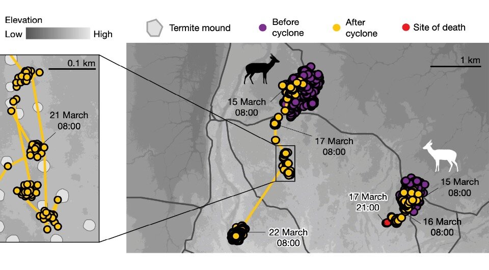   Reena Walker et al. / Nature, 2023