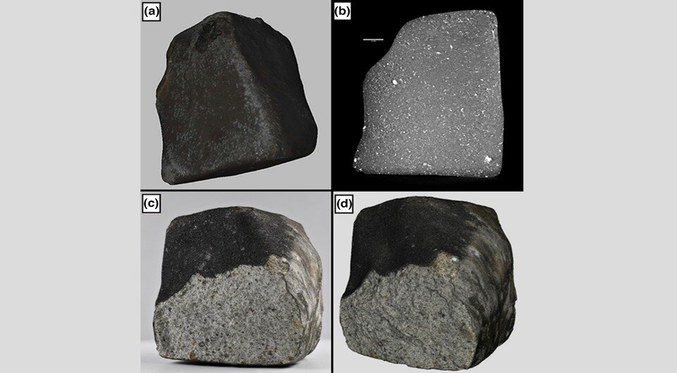   P. G. Brown et al. / Meteoritics&Planetary Science, 2023
