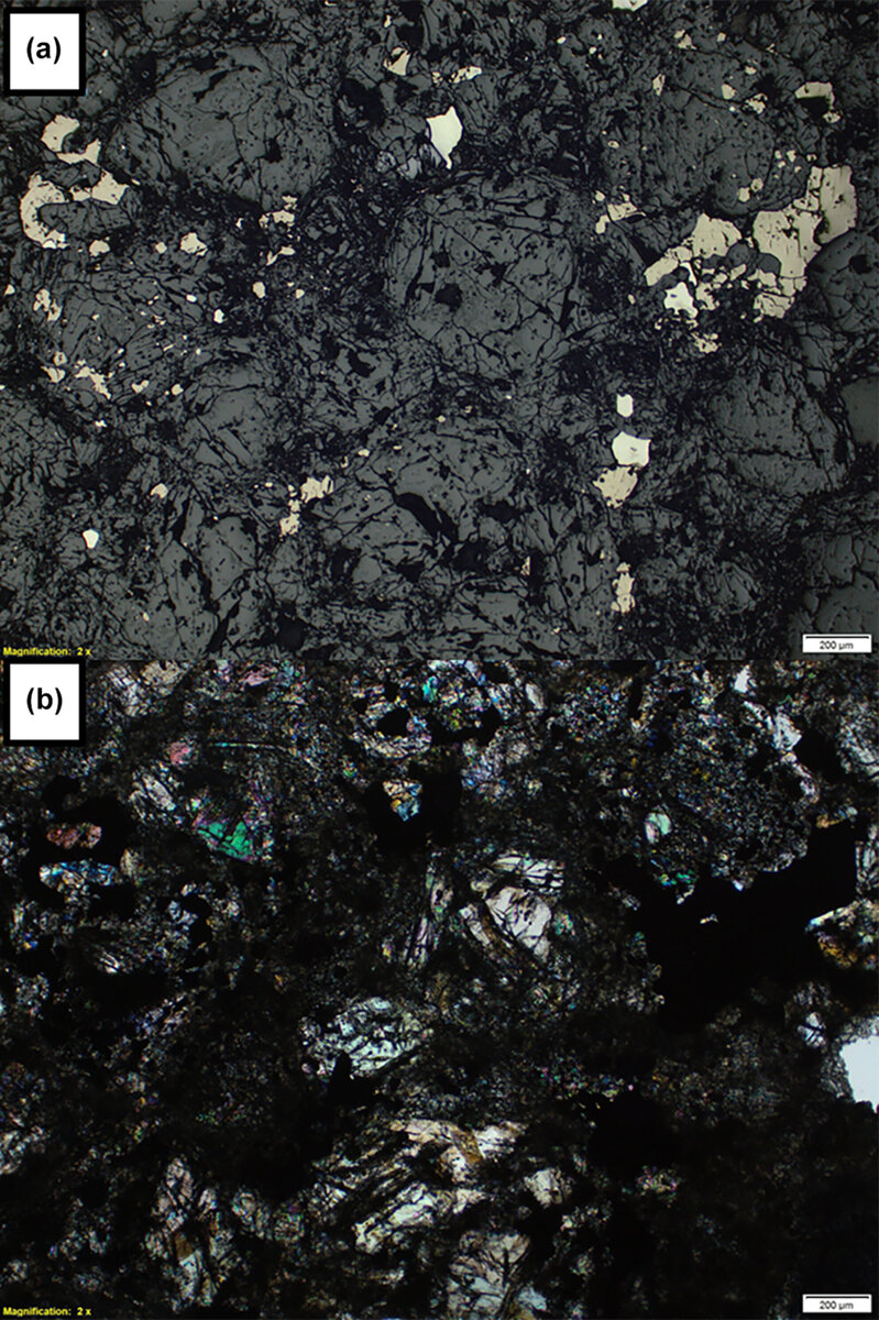   P. G. Brown et al. / Meteoritics&Planetary Science, 2023