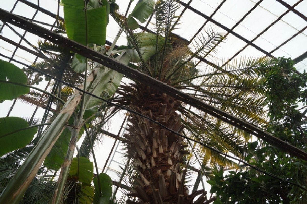    Пережил войну и 90-е, чтобы закрыться?