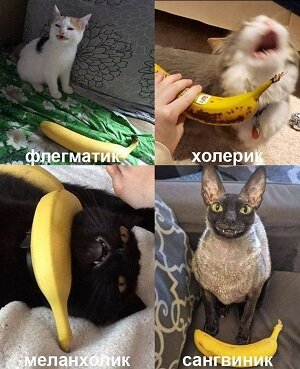  ,  ?  ?    ,   ...       ?   ?
