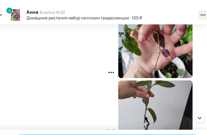 Переписка с фото корней