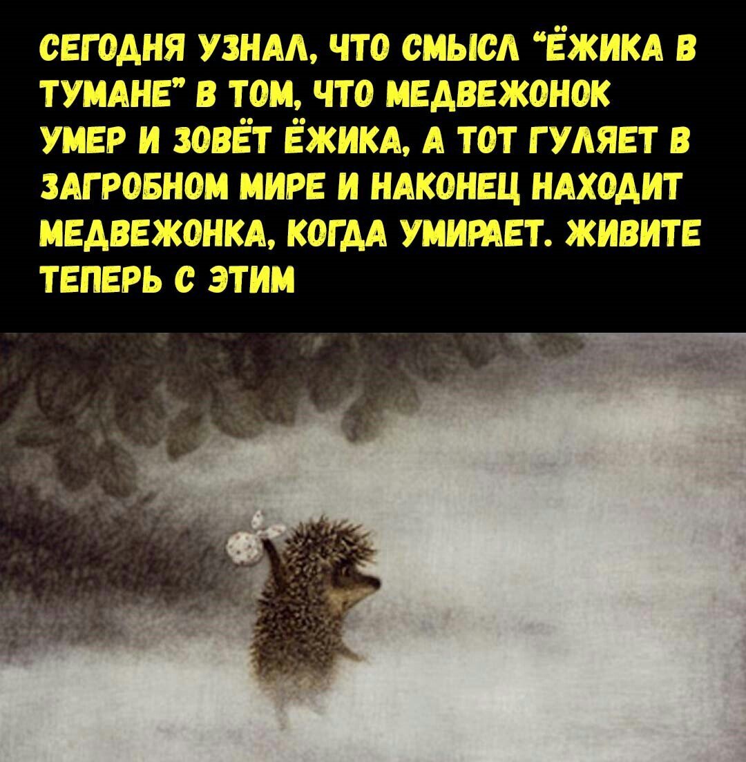 Смысл мультика ежик. Ежик в тумане плывет. Художница lucy grossmith. Ежик в тумане слова. Смысл мультика ежик.