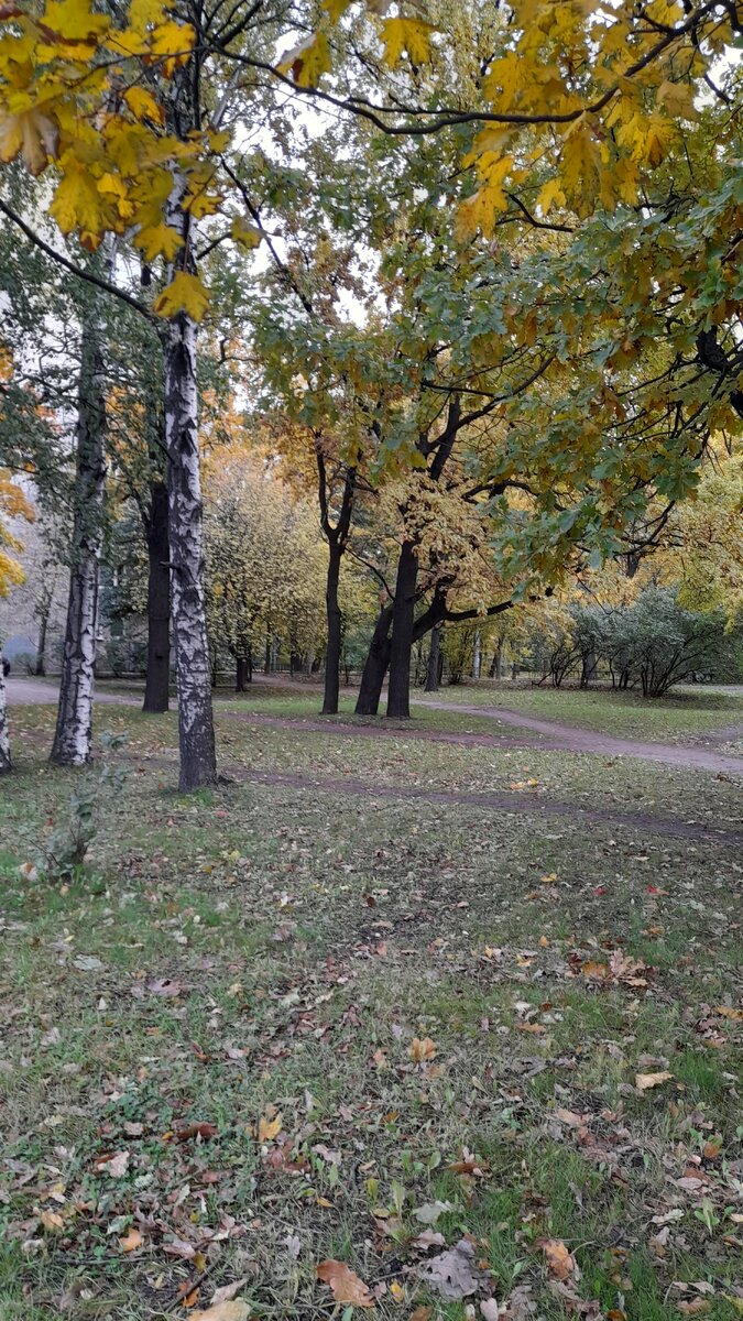 Октябрь в парке