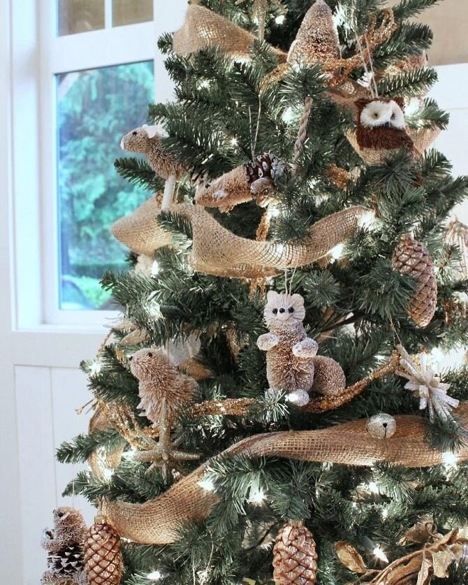 Фото Яндекс картинки