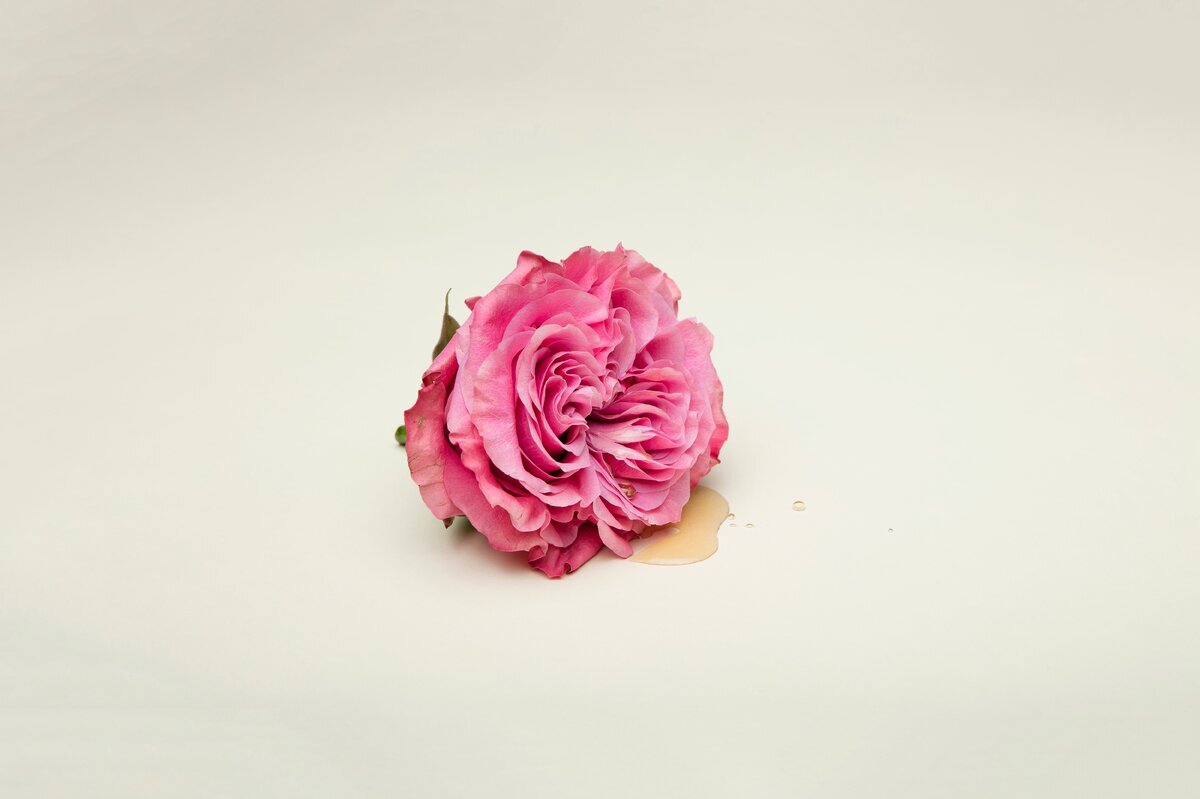 Deon Black/Unsplash