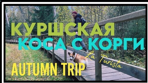 Куршская коса с корги. Осенний Trip