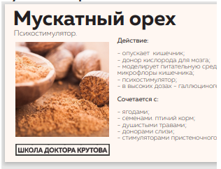 Источник, - лучшая школа Григория Крутова https://nl-school.ru/