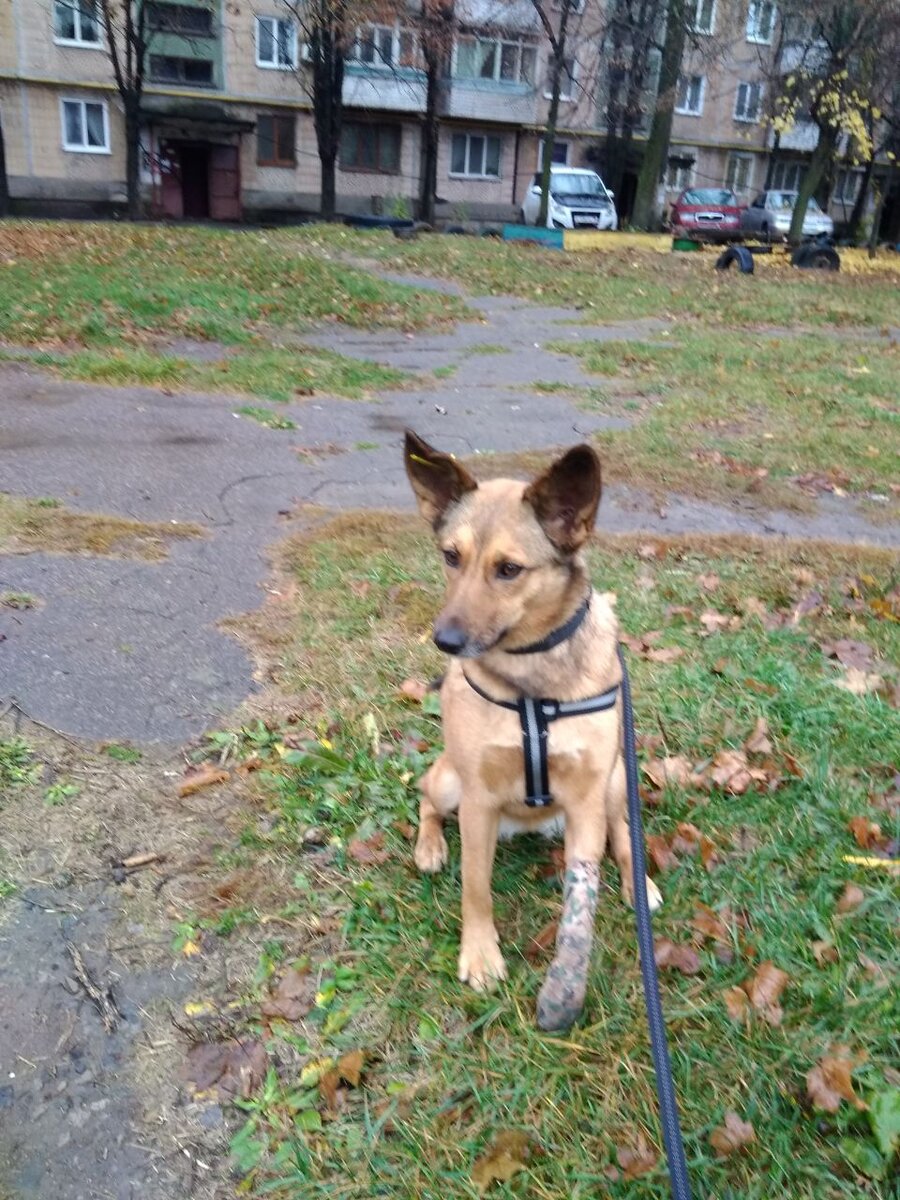 Дариша на прогулке. Фото со стационара